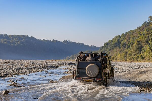 Cygnett Hotels Jim Corbett: Best Proven Property Expansion